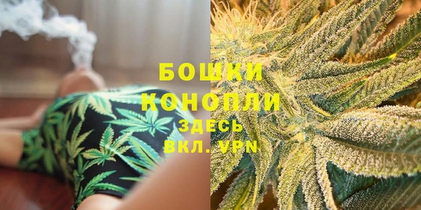 бошки Арсеньев